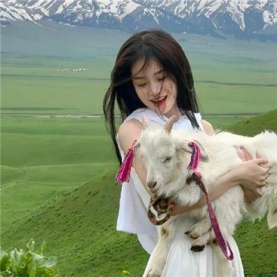 春满夏威夷